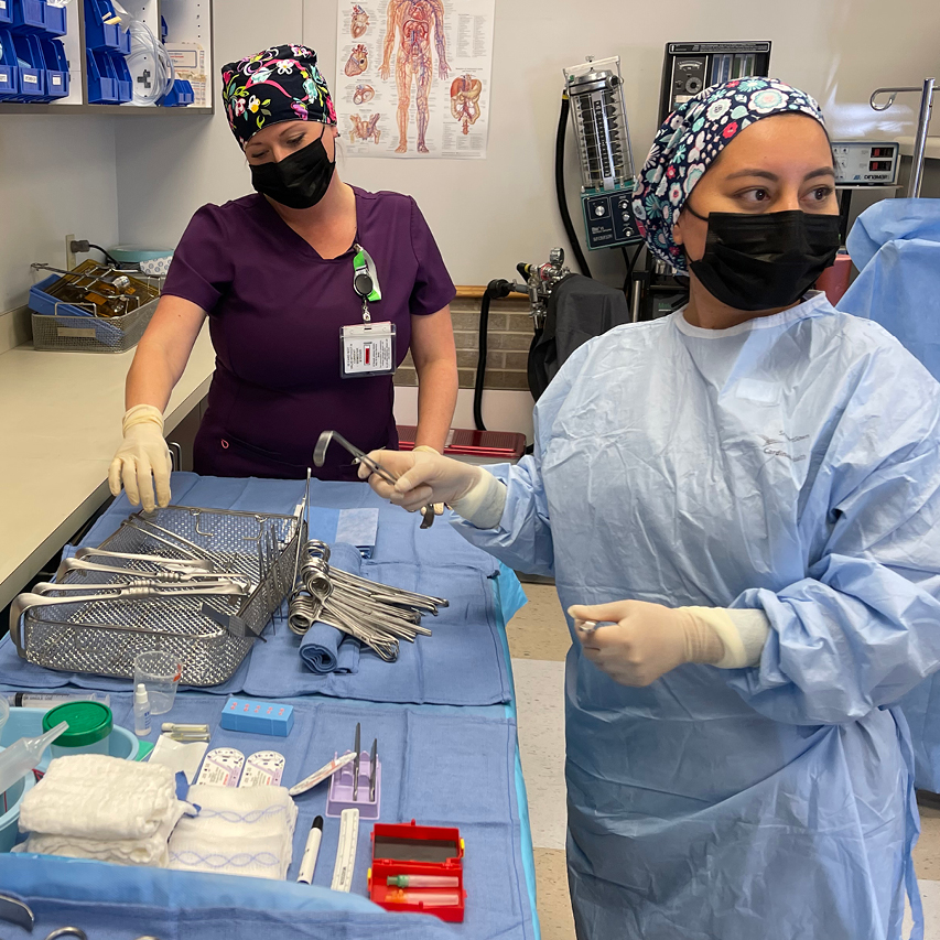 银河网上赌场官网 外科手术技术